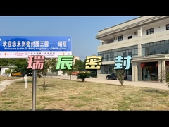 Vaste fluorrubberbal voor afdichting bij hoge temperaturen en corrosieomgevingen