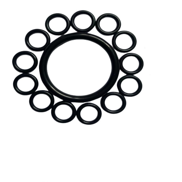 ORK Op maat gemaakte verschillende PCP paraverzegelingenInjectie O-ring voor effectief productverzegelen